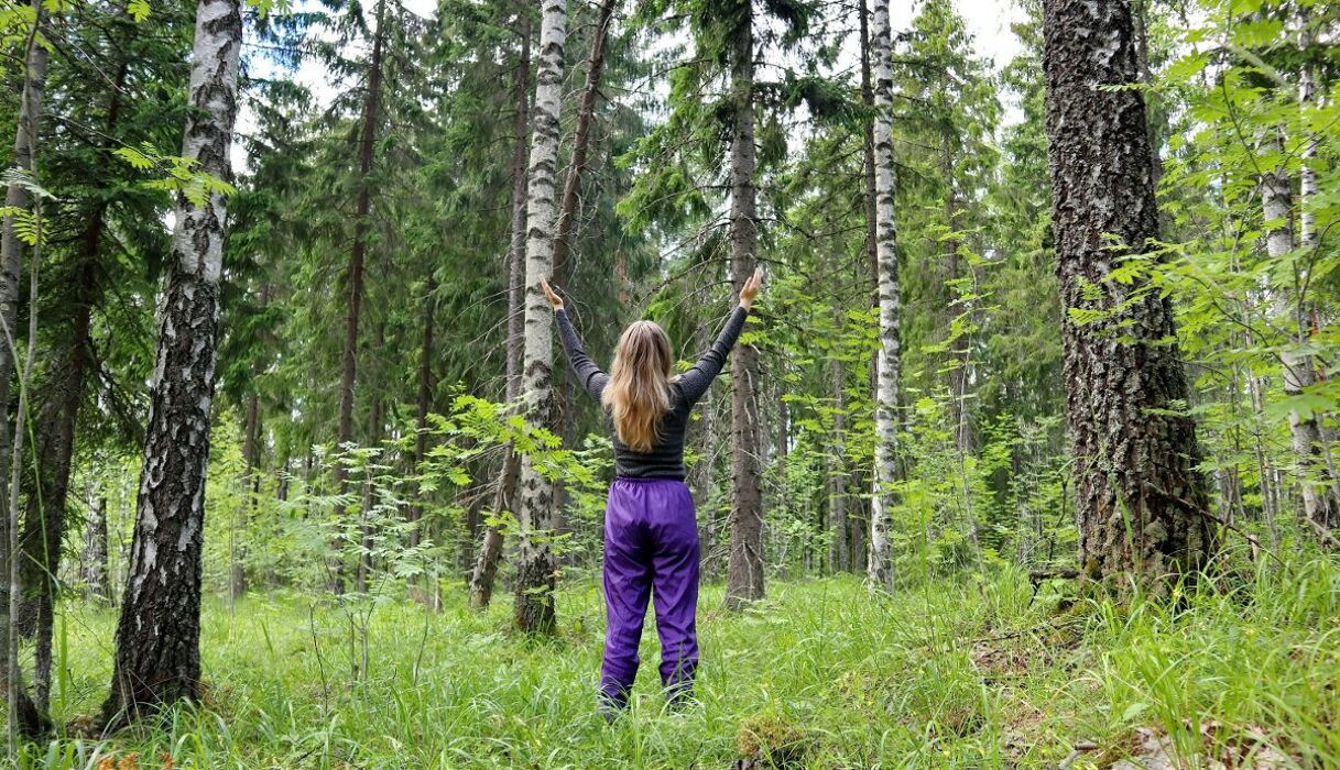 Bagno di Bosco nell'Alto Vergante tra Luce e Buio Bagno di Bosco nell'Alto Vergante tra Luce e Buio desktop picture