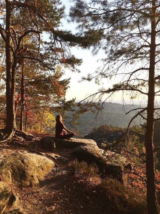 Bagno di Bosco nell'Alto Vergante tra Luce e Buio Bagno di Bosco nell'Alto Vergante tra Luce e Buio desktop picture