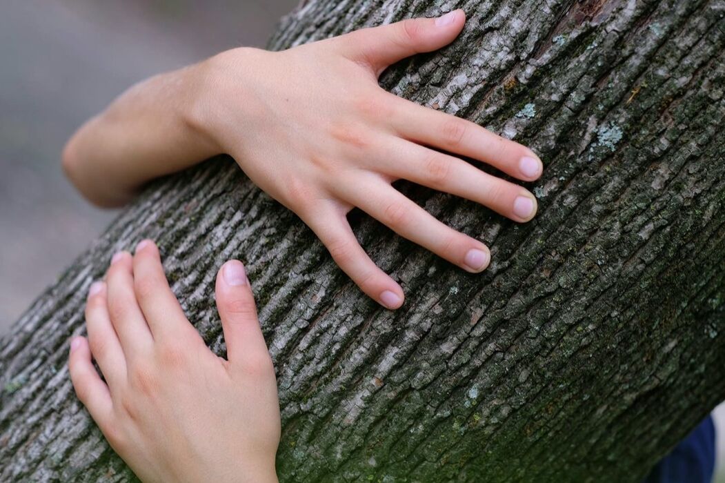 Bagno di Bosco Shinrin-Yoku in Alpe Cimbra Bagno di Bosco Shinrin-Yoku in Alpe Cimbra desktop picture