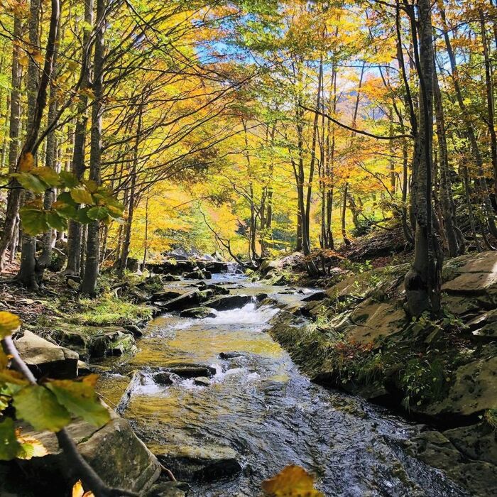 I Fiabeschi Sentieri del Parco dei 100 Laghi I Fiabeschi Sentieri del Parco dei 100 Laghi desktop picture