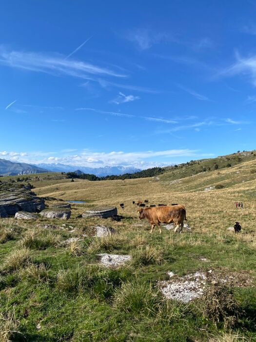 Escursione tra le Malghe della Lessinia Occidentale Escursione tra le Malghe della Lessinia Occidentale desktop picture
