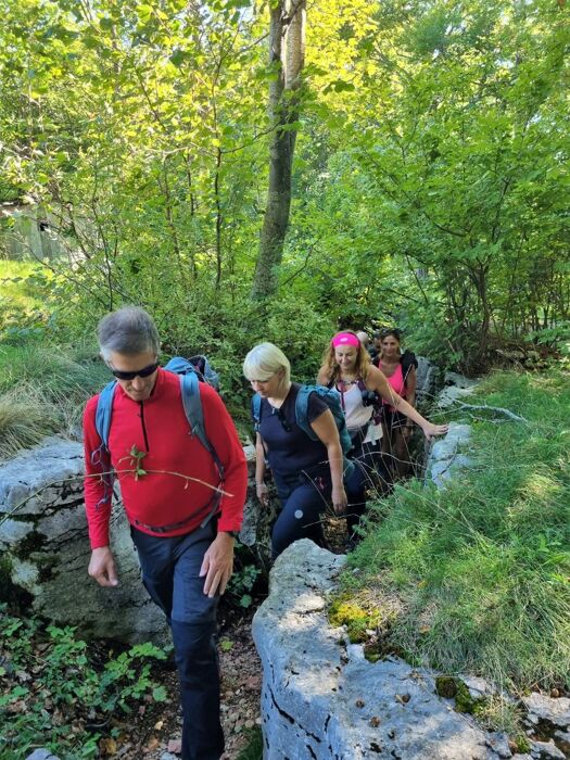 Escursione tra le Malghe della Lessinia Occidentale Escursione tra le Malghe della Lessinia Occidentale desktop picture