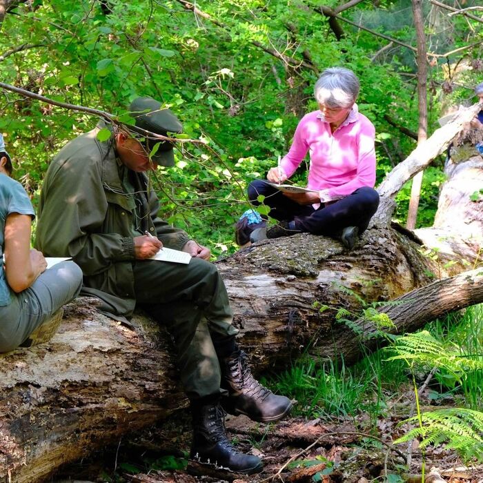 Bagno di Bosco: Shinrin-Yoku al Parco dei Lagoni di Mercurago Bagno di Bosco: Shinrin-Yoku al Parco dei Lagoni di Mercurago desktop picture