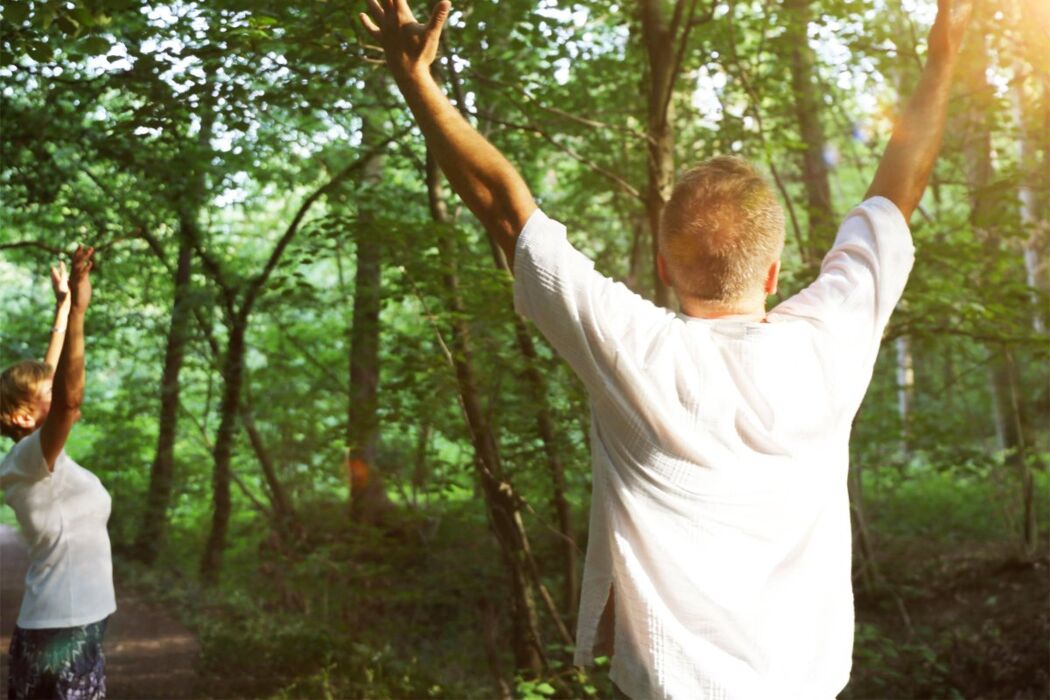 Bagno di Bosco: Shinrin-Yoku ai Giardini Pubblici Idro Montanelli di Milano Bagno di Bosco: Shinrin-Yoku ai Giardini Pubblici Idro Montanelli di Milano desktop picture