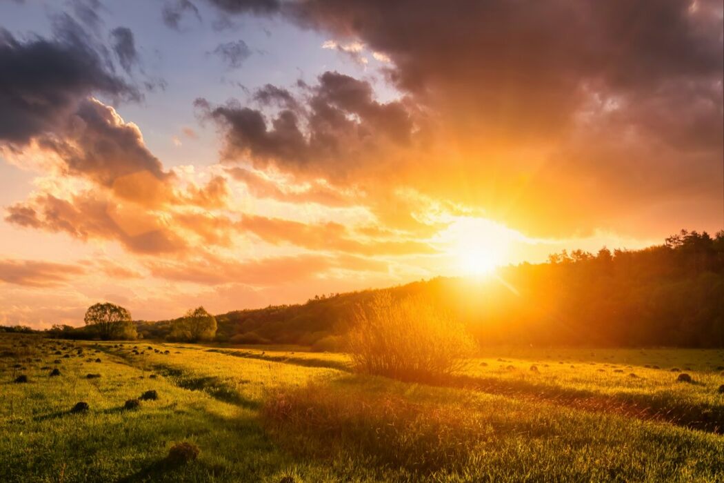 ⭐️Notte di San Lorenzo: Passeggiata e Cena Sotto le Stelle del Monferrato⭐️ ⭐️Notte di San Lorenzo: Passeggiata e Cena Sotto le Stelle del Monferrato⭐️ desktop picture