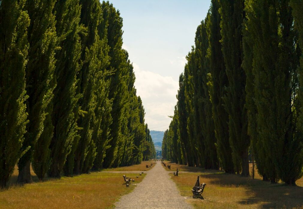 Tour Guidato al Palazzo Ducale di Sassuolo Tour Guidato al Palazzo Ducale di Sassuolo desktop picture