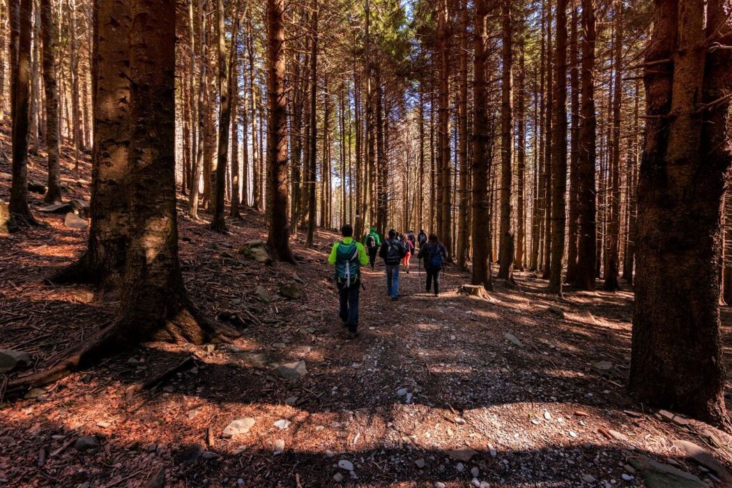 Sui Sentieri di Maria Luigia: Trekking e Cena al Lago Santo Parmense Sui Sentieri di Maria Luigia: Trekking e Cena al Lago Santo Parmense desktop picture