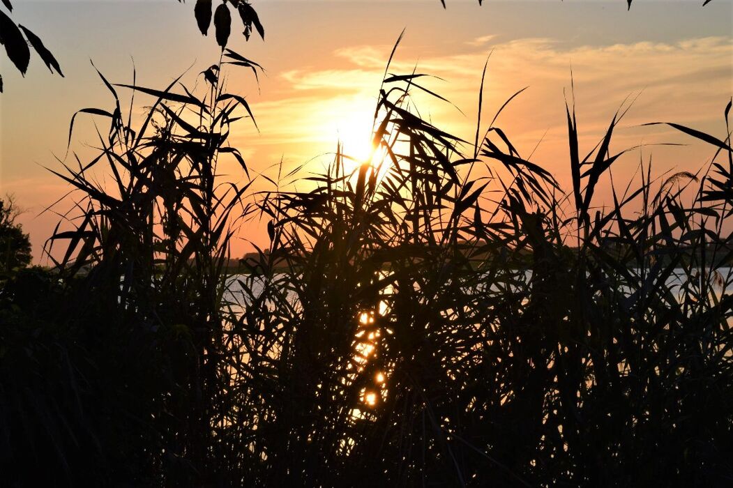Passeggiata lungo il Lago Superiore di Mantova Passeggiata lungo il Lago Superiore di Mantova desktop picture