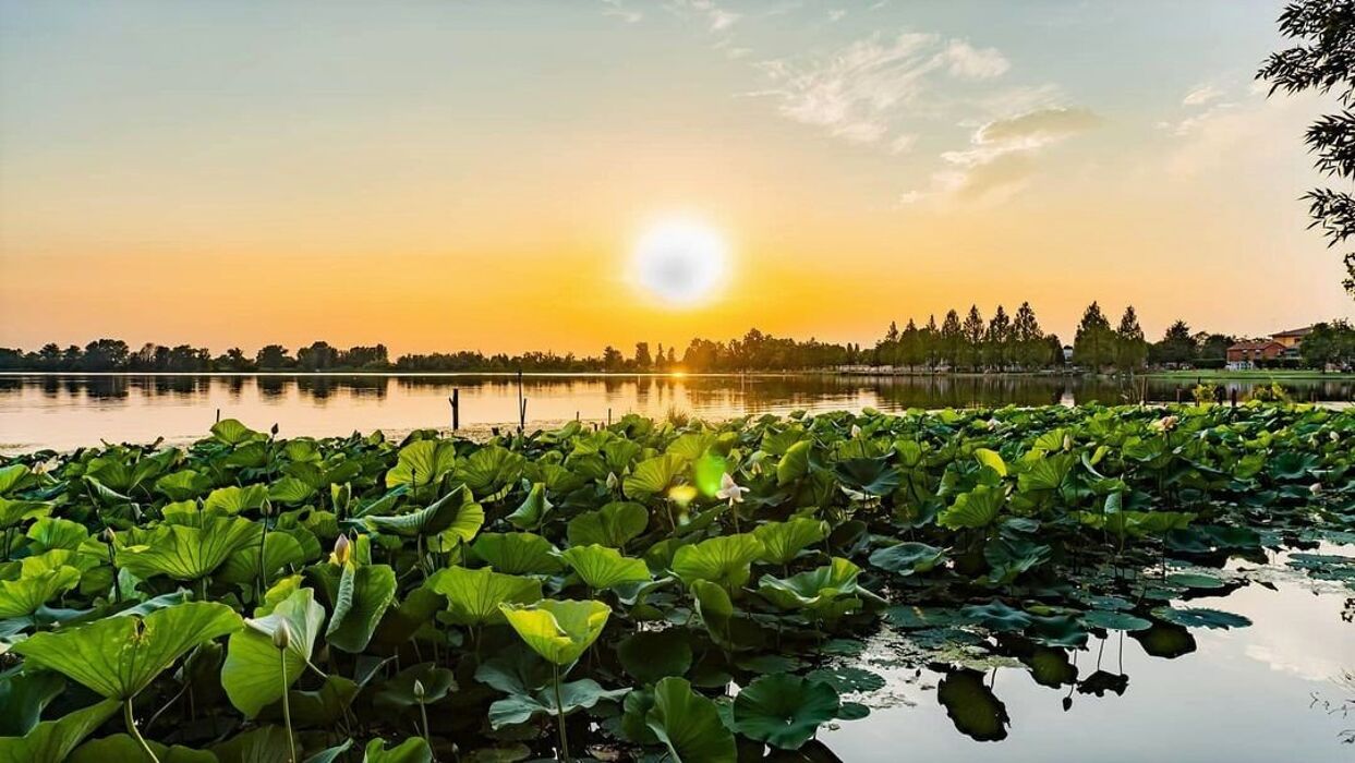 Passeggiata lungo il Lago Superiore di Mantova Passeggiata lungo il Lago Superiore di Mantova desktop picture