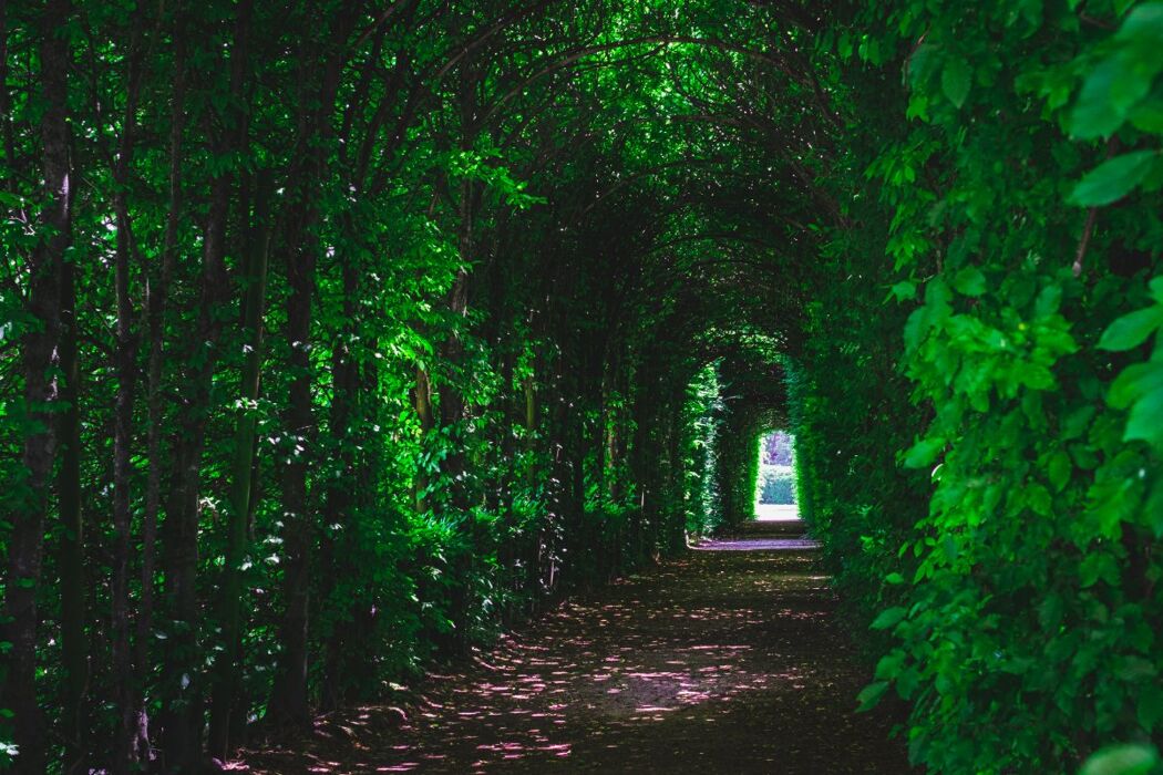 Visita Guidata alla Reggia di Colorno Visita Guidata alla Reggia di Colorno desktop picture