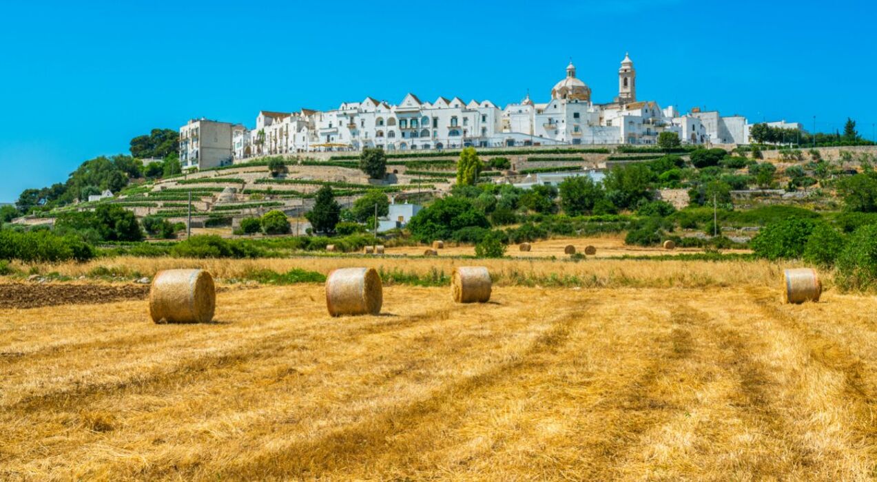 🎃Halloween in Puglia: Tra le Magie di Ostuni, Alberobello e Matera🎃 🎃Halloween in Puglia: Tra le Magie di Ostuni, Alberobello e Matera🎃 desktop picture