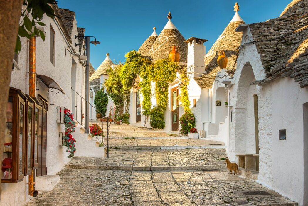 🎃Halloween in Puglia: Tra le Magie di Ostuni, Alberobello e Matera🎃 🎃Halloween in Puglia: Tra le Magie di Ostuni, Alberobello e Matera🎃 desktop picture