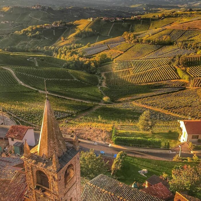 Caccia al Tartufo nelle Langhe e Fiera di Alba Caccia al Tartufo nelle Langhe e Fiera di Alba desktop picture