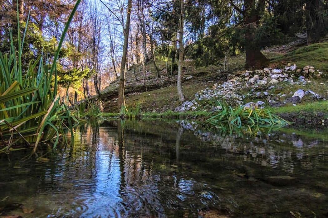 Trekking panoramico sul Monte Baffelan Trekking panoramico sul Monte Baffelan desktop picture