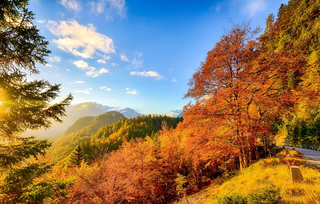 Escursione al Lago Nero: L'Autunno Piemontese Escursione al Lago Nero: L'Autunno Piemontese desktop picture