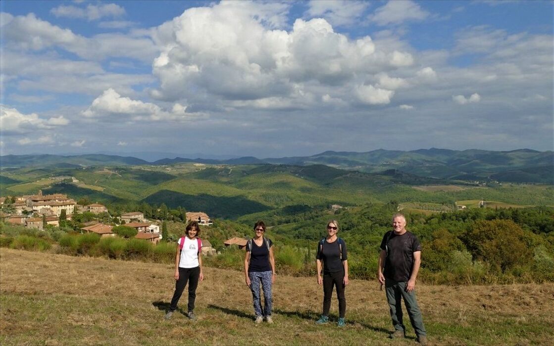 Tra funghi e castagni: Camminata autunnale nella Valle dell'Arbia Tra funghi e castagni: Camminata autunnale nella Valle dell'Arbia desktop picture