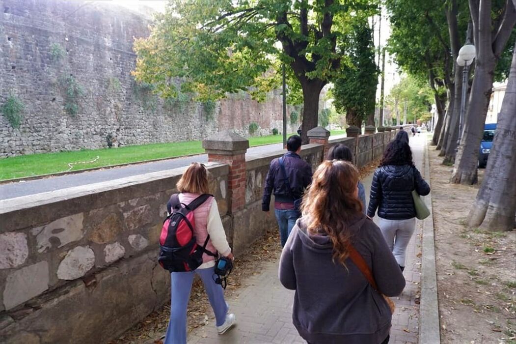 Pisa Capitale della Street Art: Passeggiata tra i Murales Pisa Capitale della Street Art: Passeggiata tra i Murales desktop picture