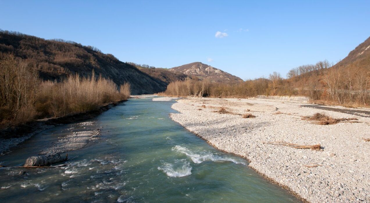 Camminata tra i Borghi Medievali di Montecchio Emilia con Pizzata Camminata tra i Borghi Medievali di Montecchio Emilia con Pizzata desktop picture