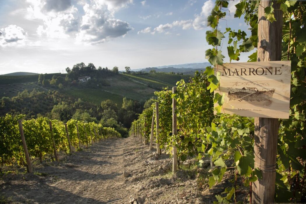 Degustazione Piemontese fra Langhe e Monferrato Degustazione Piemontese fra Langhe e Monferrato desktop picture