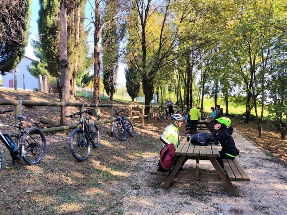 E-Bike Tour nel Bosco del Montello E-Bike Tour nel Bosco del Montello desktop picture