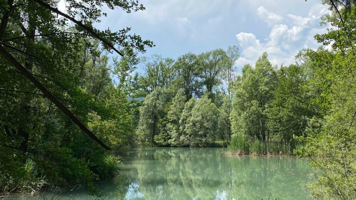 Vincheto di Celarda: Un Trekking nella Riserva Naturale Vincheto di Celarda: Un Trekking nella Riserva Naturale desktop picture