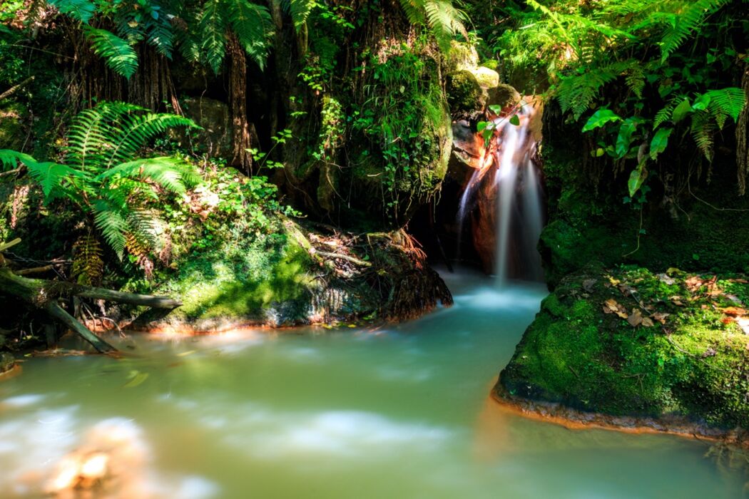 Escursione nella Riserva Naturale e Città Perduta di Antica Monterano Escursione nella Riserva Naturale e Città Perduta di Antica Monterano desktop picture