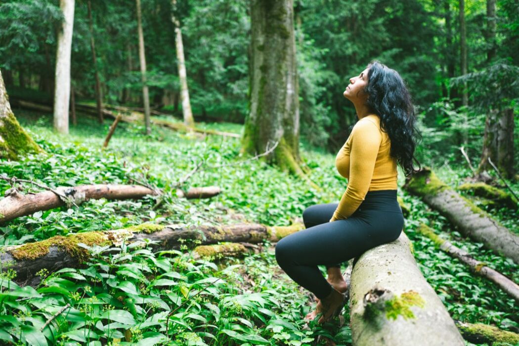 Bagno di Foresta fra i maestosi faggi ed abeti del Cansiglio Bagno di Foresta fra i maestosi faggi ed abeti del Cansiglio desktop picture