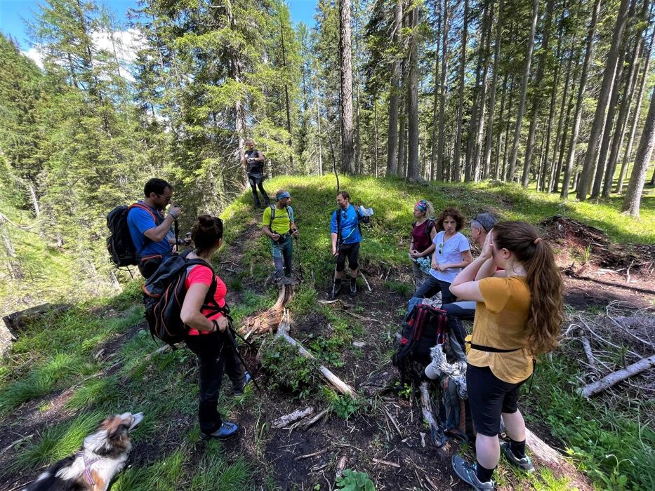 L’incanto dell’acqua: Trekking fra le Gores de Federa L’incanto dell’acqua: Trekking fra le Gores de Federa desktop picture
