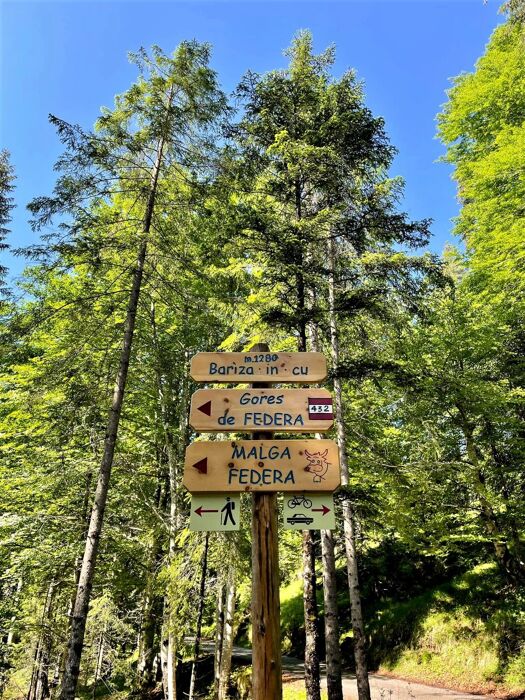 L’incanto dell’acqua: Trekking fra le Gores de Federa L’incanto dell’acqua: Trekking fra le Gores de Federa desktop picture