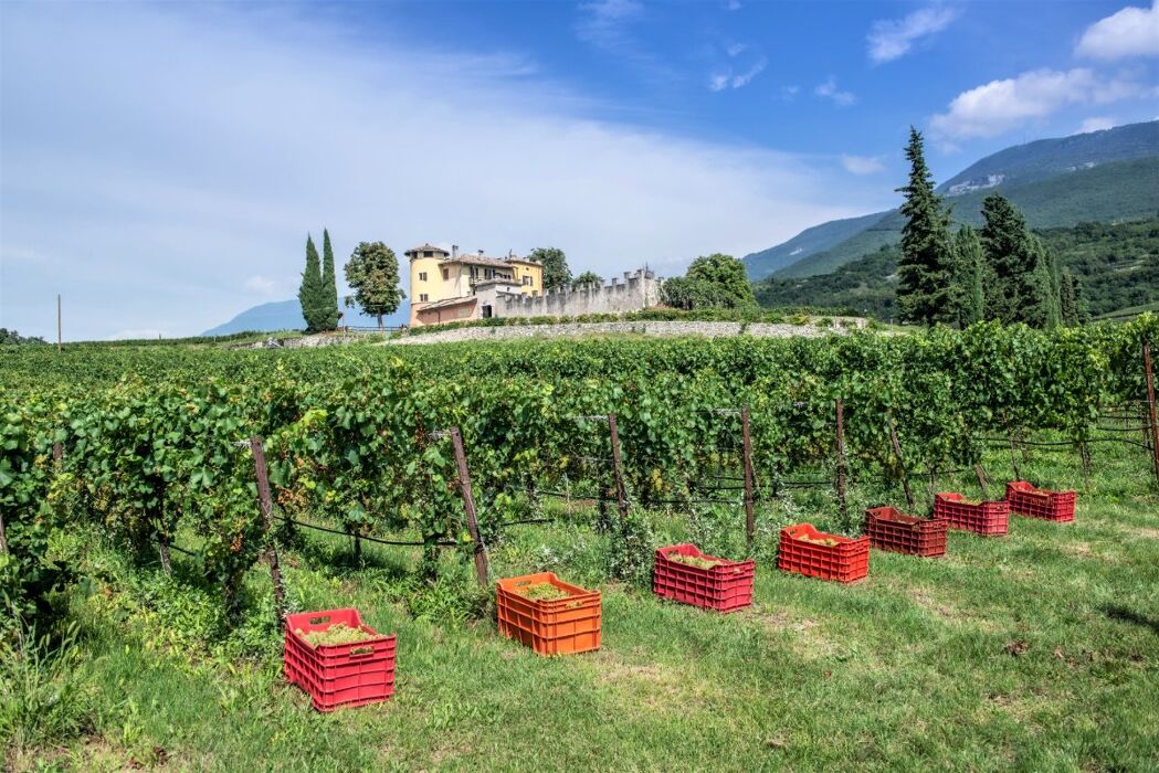 Visita Esclusiva all'Eremo di San Colombano Visita Esclusiva all'Eremo di San Colombano desktop picture