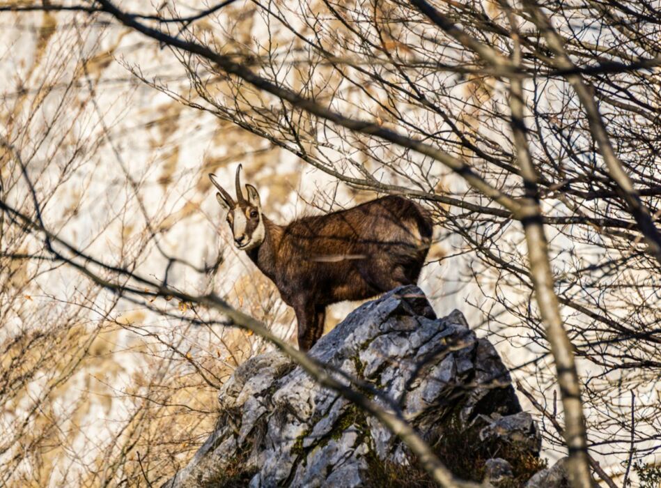 In Vetta al Resegone: Trekking tra Incantevoli Panorami In Vetta al Resegone: Trekking tra Incantevoli Panorami desktop picture