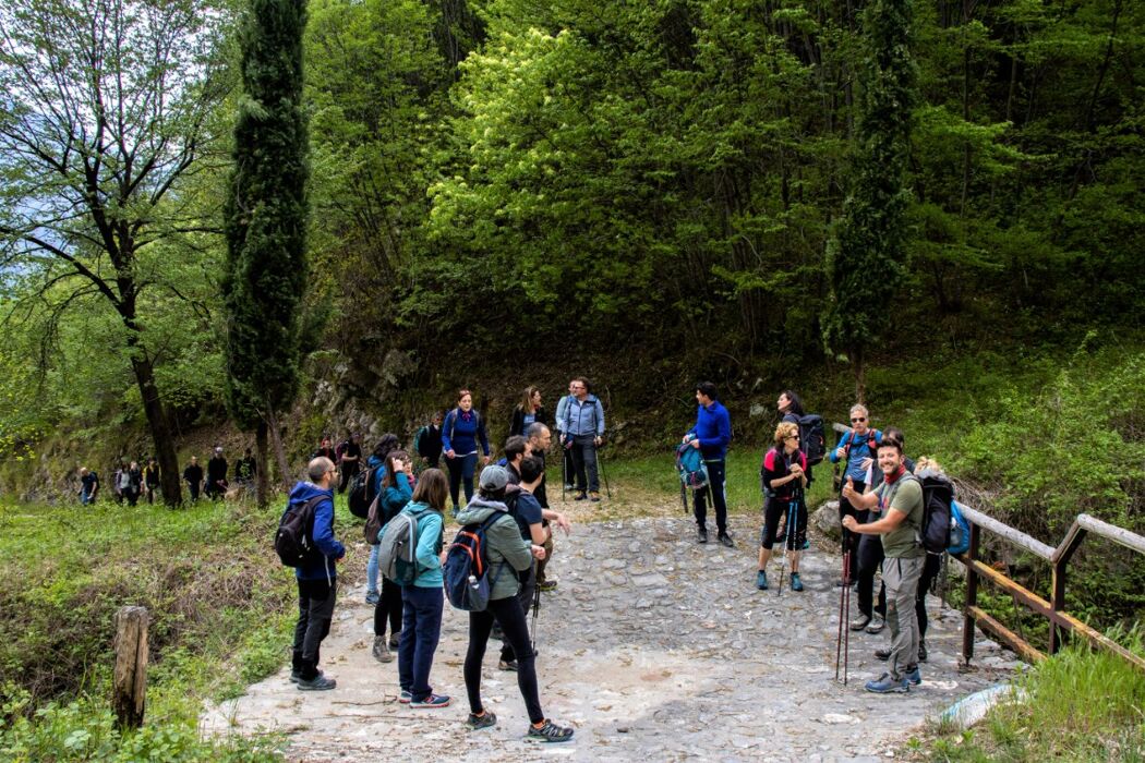 Trekking con visita guidata al Castello di Avio Trekking con visita guidata al Castello di Avio desktop picture