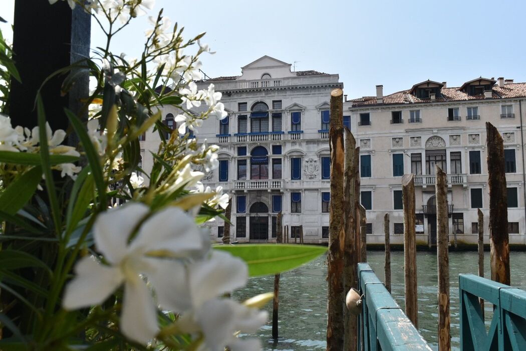 Venezia e la Via delle Spezie: Un Tour tra Profumi e Antichi Rimedi Venezia e la Via delle Spezie: Un Tour tra Profumi e Antichi Rimedi desktop picture
