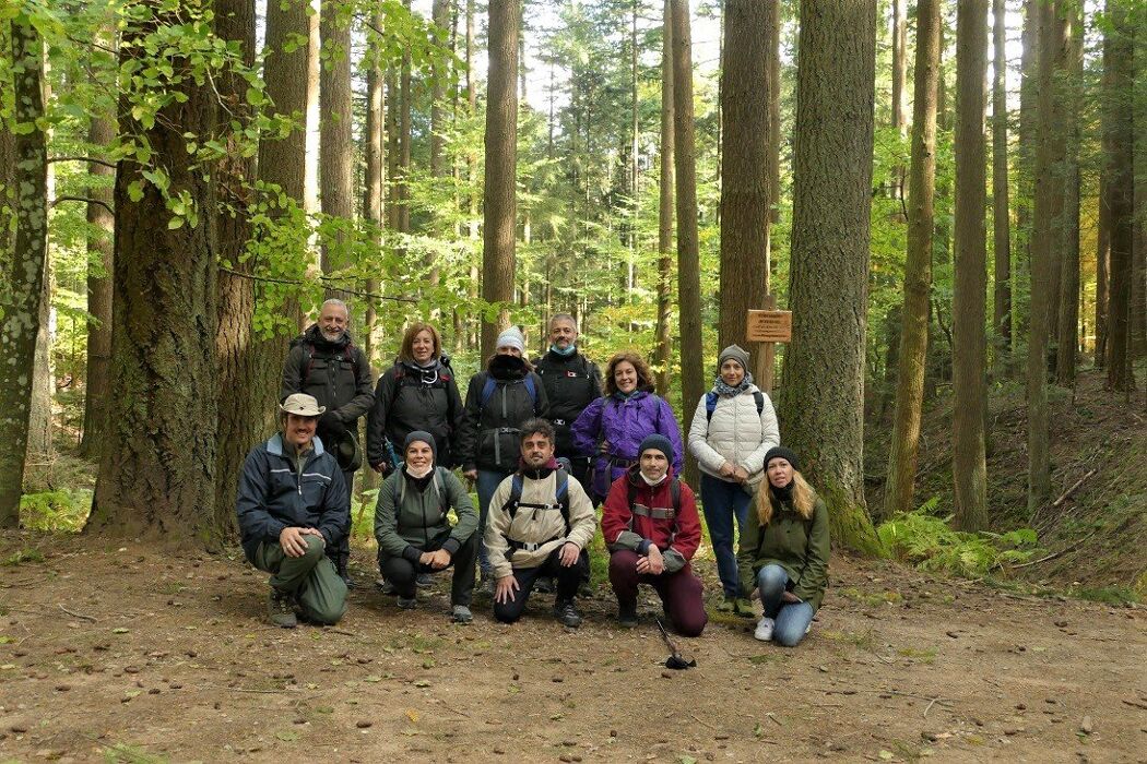 Escursione autunnale tra le secolari Foreste di Vallombrosa Escursione autunnale tra le secolari Foreste di Vallombrosa desktop picture
