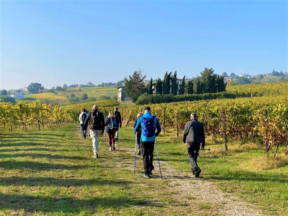 Escursione tra vigneti e fossili: i tesori di Montescano Escursione tra vigneti e fossili: i tesori di Montescano desktop picture