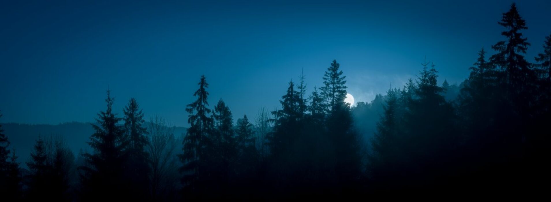 🎃La Quercia delle Streghe: Passeggiata di Halloween con Cena Tipica🎃 🎃La Quercia delle Streghe: Passeggiata di Halloween con Cena Tipica🎃 desktop picture