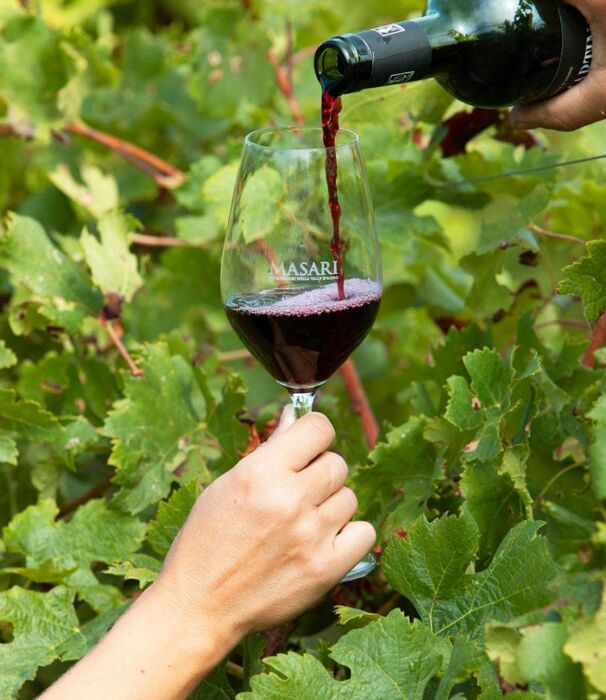 Le colline Valdagnesi: Passeggiata con degustazione in cantina Le colline Valdagnesi: Passeggiata con degustazione in cantina desktop picture