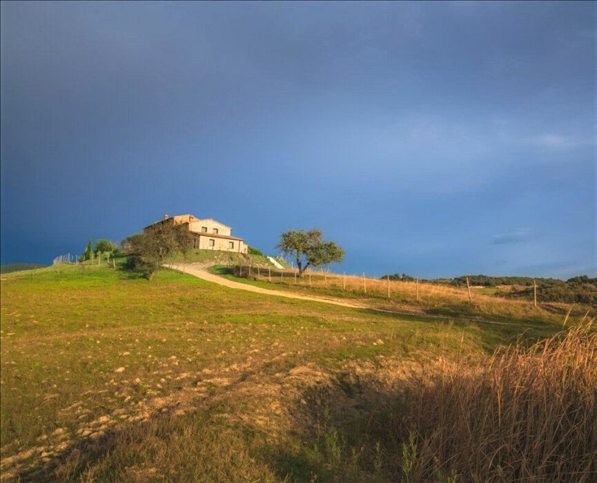 I Sentieri dei Daini: Escursione nella Riserva Naturale di Cornocchia I Sentieri dei Daini: Escursione nella Riserva Naturale di Cornocchia desktop picture