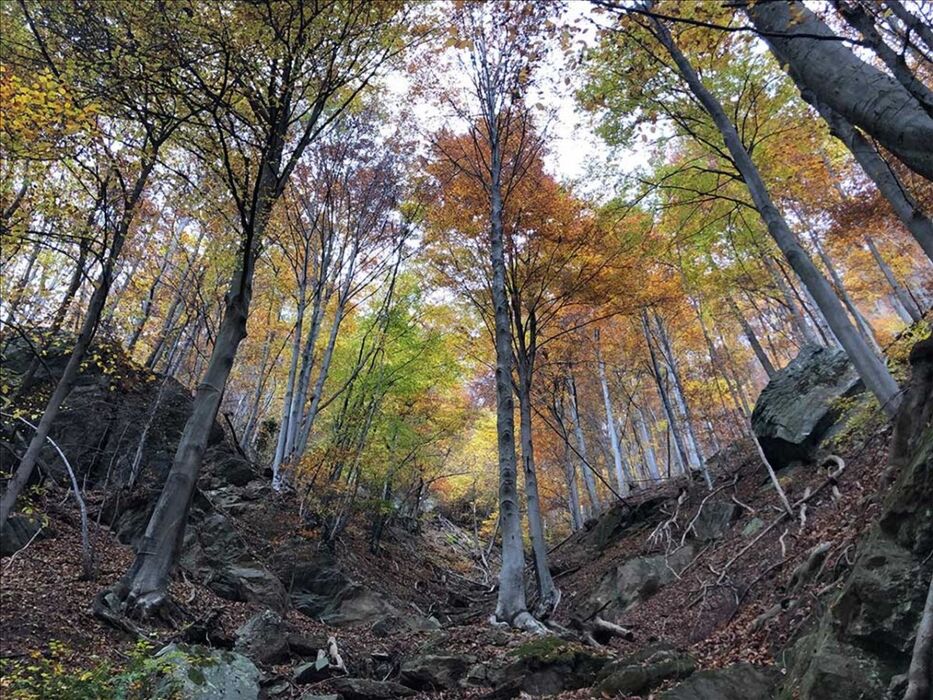 Passeggiata Autunnale tra i Panorami delle Valli di Lanzo Passeggiata Autunnale tra i Panorami delle Valli di Lanzo desktop picture