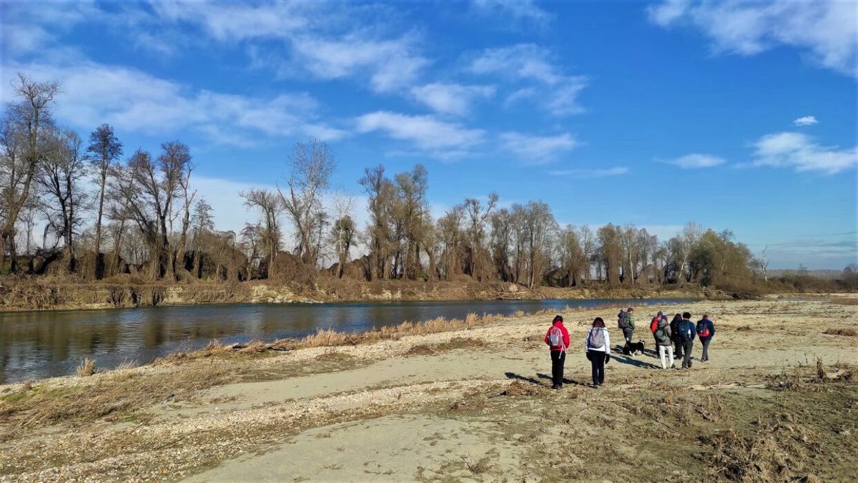 Il Parco del Gerbasso: Escursione lungo il Po Piemontese Il Parco del Gerbasso: Escursione lungo il Po Piemontese desktop picture