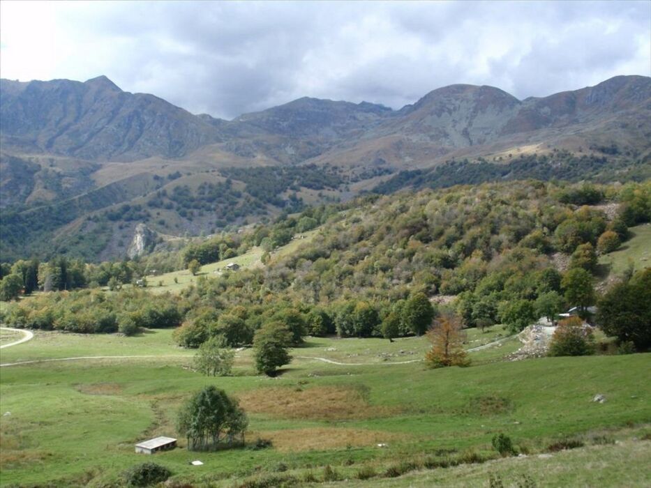 Panchina Gigante Ciclamino: Camminata con Vista sul Colle della Dieta Panchina Gigante Ciclamino: Camminata con Vista sul Colle della Dieta desktop picture