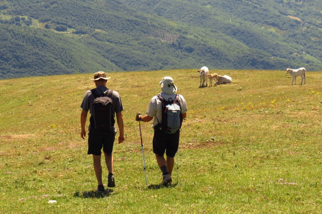 I Panoramici Sentieri del Monte Navegna: Un Balcone tra Due Laghi I Panoramici Sentieri del Monte Navegna: Un Balcone tra Due Laghi desktop picture