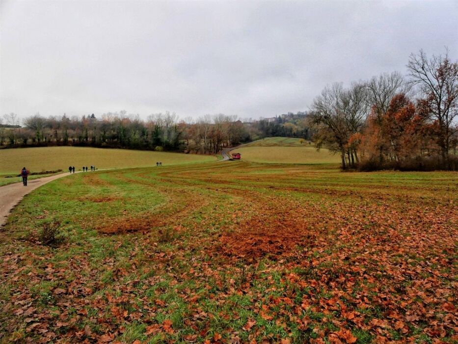 Big Bench Azzurra: Dolce Camminata tra i Colli del Monferrato Big Bench Azzurra: Dolce Camminata tra i Colli del Monferrato desktop picture