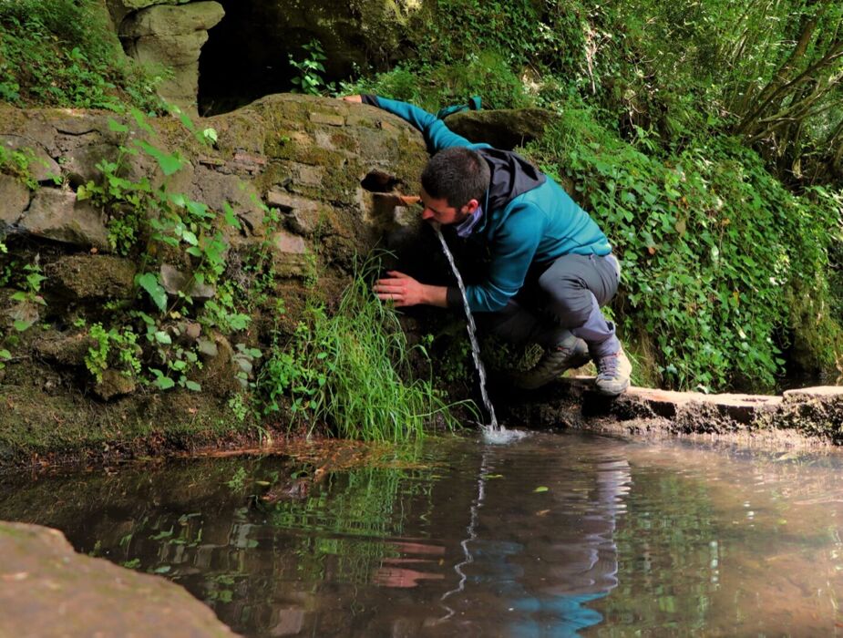 Fontana Tempesta: passeggiata con degustazione alle porte di Roma Fontana Tempesta: passeggiata con degustazione alle porte di Roma desktop picture