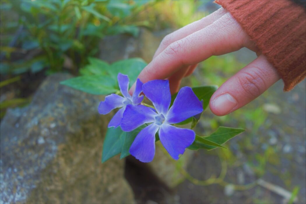Fontana Tempesta: passeggiata con degustazione alle porte di Roma Fontana Tempesta: passeggiata con degustazione alle porte di Roma desktop picture