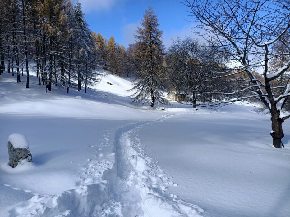 Ciaspolata al Chiaro di Luna con Cena in Rifugio Ciaspolata al Chiaro di Luna con Cena in Rifugio desktop picture