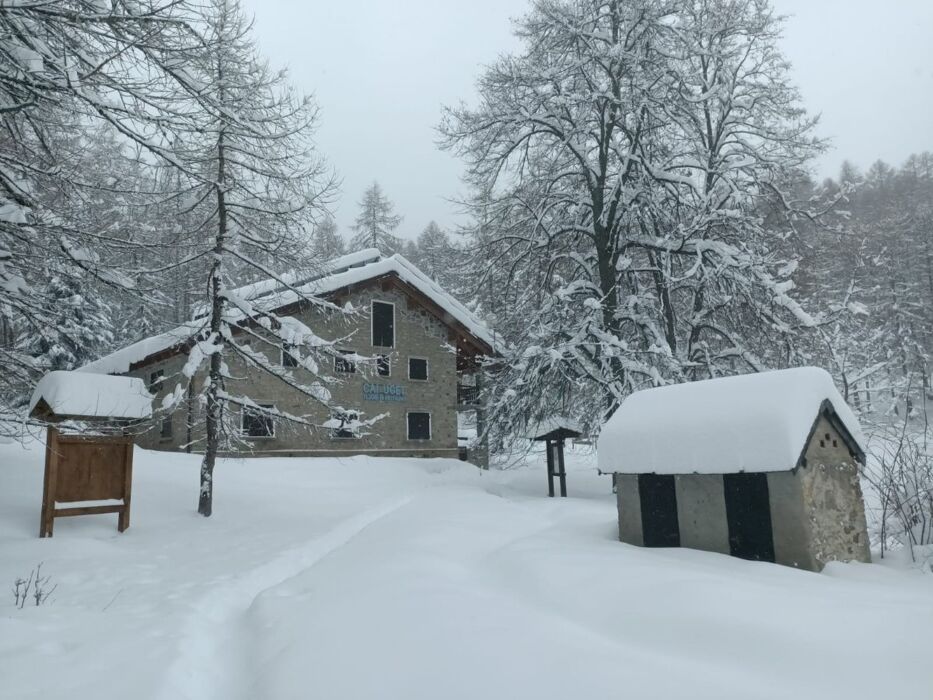 Ciaspolata al Chiaro di Luna con Cena in Rifugio Ciaspolata al Chiaro di Luna con Cena in Rifugio desktop picture