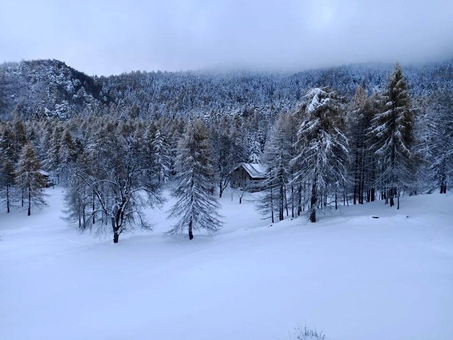 Ciaspolata al Chiaro di Luna con Cena in Rifugio Ciaspolata al Chiaro di Luna con Cena in Rifugio desktop picture