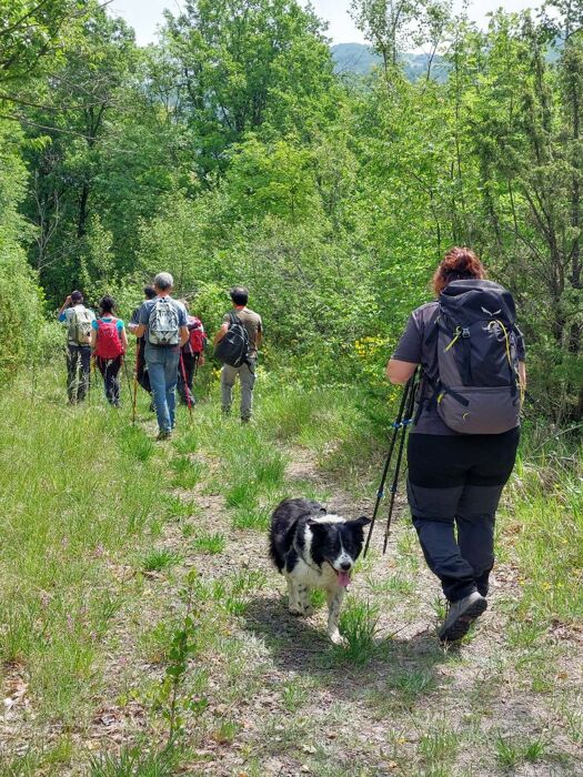 Le Pietre del Diavolo: Trekking sui Colli Modenesi Le Pietre del Diavolo: Trekking sui Colli Modenesi desktop picture
