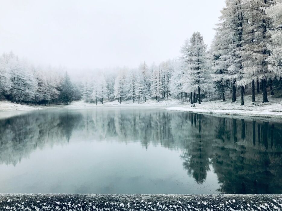 Ciaspolata di Gruppo al Lago della Ninfa Ciaspolata di Gruppo al Lago della Ninfa desktop picture
